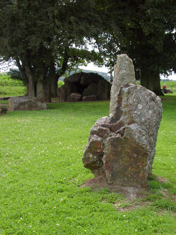 Menhirs voor de Dolmen van Wéris